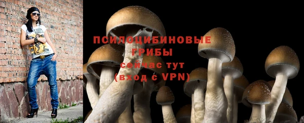 СК Болотное