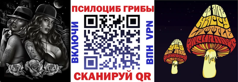 OMG ссылки  хочу наркоту  Вуктыл  Псилоцибиновые грибы ЛСД 